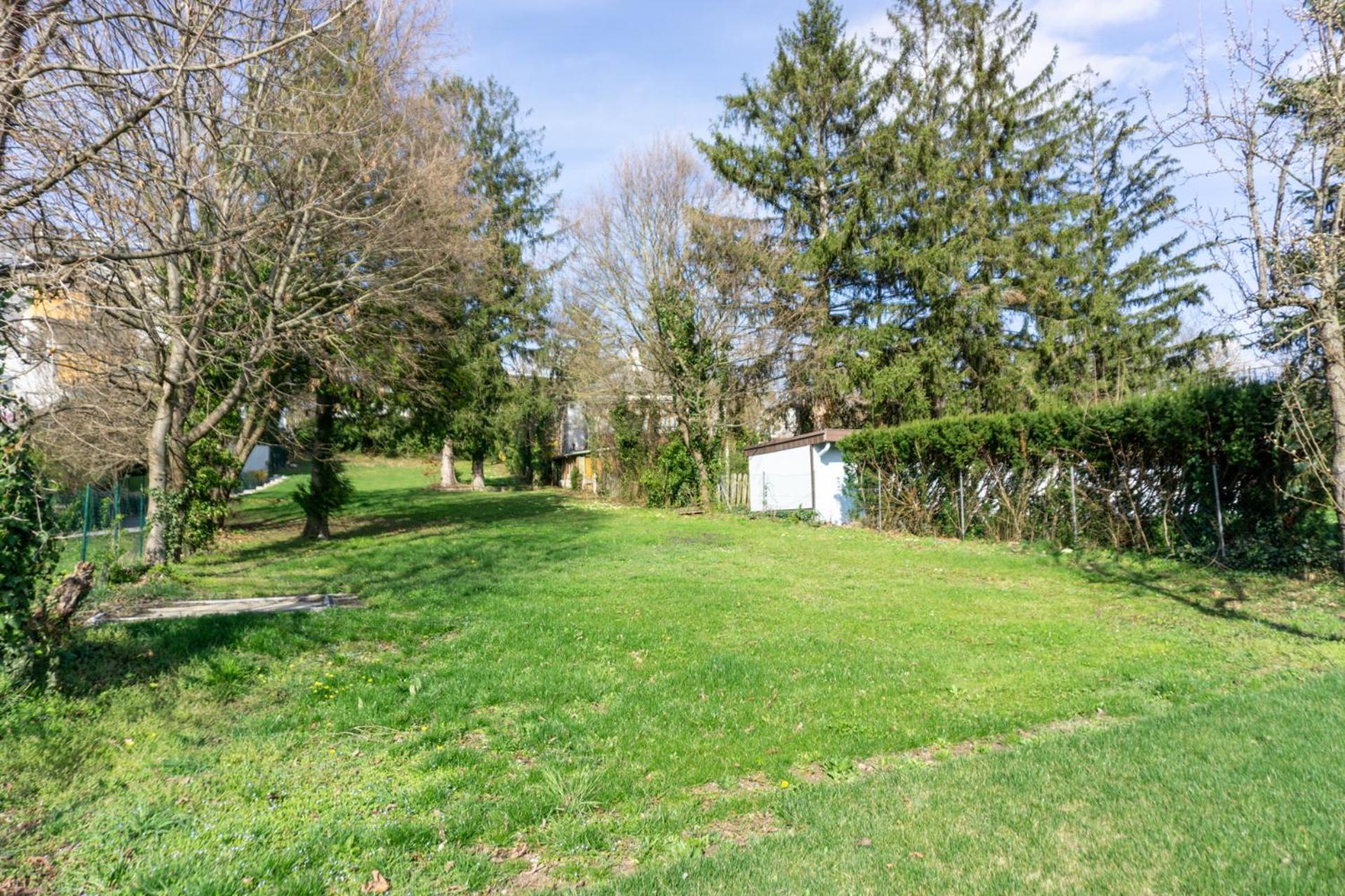 Next To Stadion, Near To Lainzer Tiergarten Apartment Vienna Luaran gambar